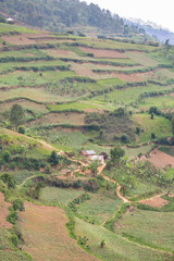 Fototapeta na wymiar Green landscapes of hills around Lake Bunyonyi