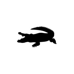 Crocodile icon symbol isolated on white background