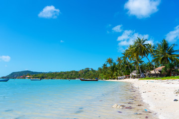 Gorgeous tropical sandy beach with palm trees, blue sky and clear water.