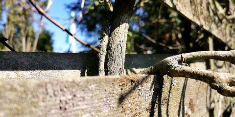 old wooden fence with a fence