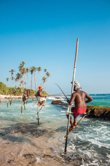 Traditional pole fishing (Sri Lanka) - obrazy, fototapety, plakaty