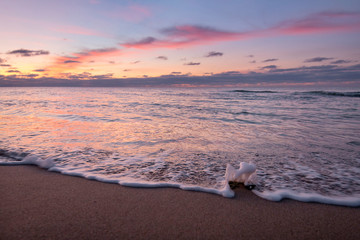 Seascape. Beach.