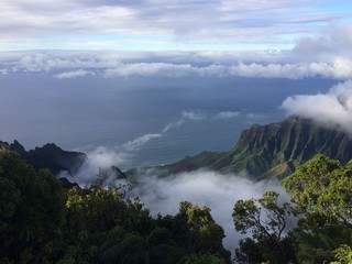 Hawaii landscape