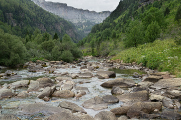 rio salvaje