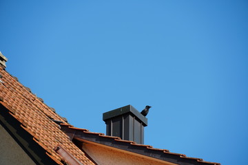 a raven in profile sitting on a chimney on a red clay tile roof on a clear spring day, with blue sky in the background in Urdorf, Switzerland