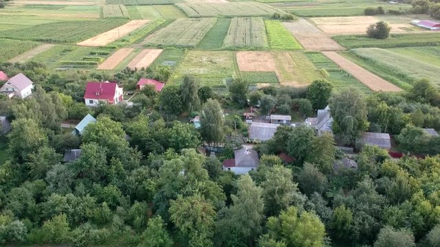 Aerial view Polytechnic Institute in Kiev in the summer. People walk near the institute At the top of the building, the flag of Ukraine is developing
