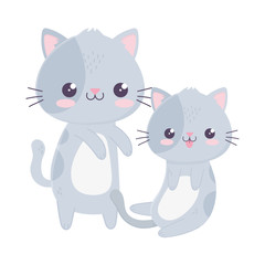 cute little cats domestic pets kawaii cartoon character
