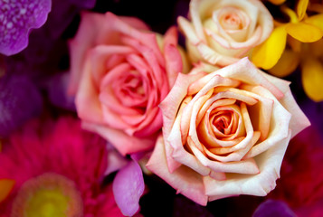 Bouquet of fresh roses, flower bright background.