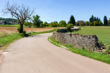View of the access road to the town of Saint Denis-de-Vaux, Burgundy, France