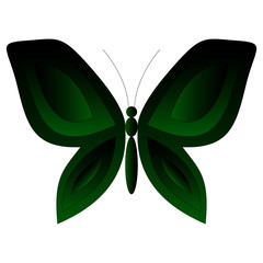 Beautiful butterfly on a white background