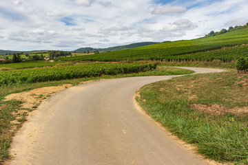 Fototapeta na wymiar Panoramic view of vineyards of the Veaux valley in Burgundy, France