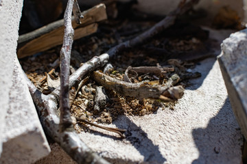 Small twigs and dry chips on a concrete background , lying in a pile under the open sky for a small fire