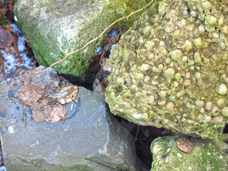 snow-covered rocks lie in a heap