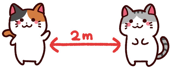 ソーシャルディスタンス　動物　猫　２ｍ