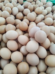 Chicken eggs are ready for consumption
