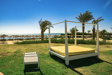 Obraz premium View on Palm Trees. Tropical Summer Destination Concept. Holiday Time. 