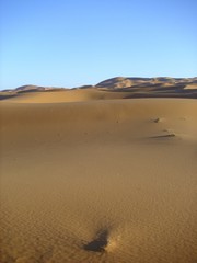 desert wasteland sand dune sahara