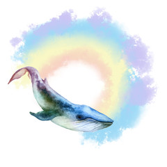 Flying colorful blue whale and rainbow on a white background. Hand drawn watercolor.