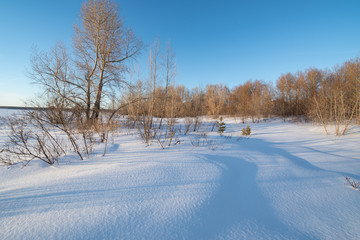 Obraz premium Winter landscape with trees without leaves and snow