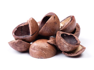 Heap of empty macadamia nut shell