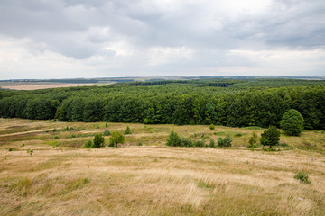 Fototapeta na wymiar Scenic areal view on green summer woods in Pidkamin village