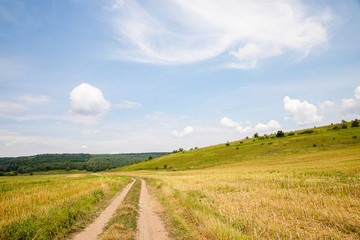 Scenic path in green summer field with blue sky background