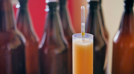 Using hydrometer to measure gravity of beer