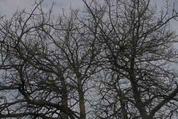 sunset, sky, sun, sunrise, nature, clouds,  landscape, evening, light, sea, cloud, blue beautiful, horizon, red, sunlight, mountain view, ocean tromso tromsø  water travel tourism sea coast nature 