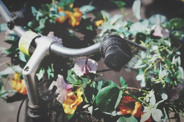Close-up Of Bicycle Handle And Plants