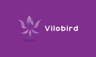 Bird Logo Design Vector. Colorful animal Symbol and Modern emblem icon for Company.