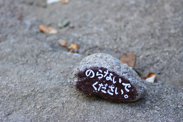 のらないでください。