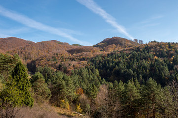 Naklejka premium Around Rytro