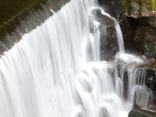 Fototapeta premium 滝