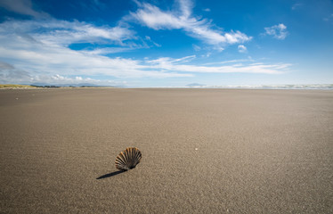 Kapiti Coast