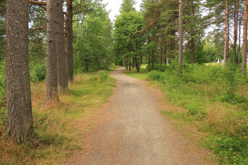 sunset, sky, sun, sunrise, nature, clouds,  landscape, evening, light, sea, cloud, blue beautiful, horizon, red, sunlight, mountain view, ocean tromso troms&oslash;  water travel tourism sea coast nature