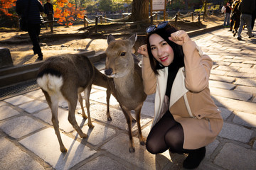 Nara Park - A Must See Scenic Spot in Nara City Established in 1880.