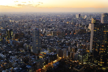 新宿から見る夕景