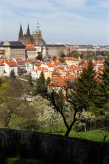 Obraz premium Spring Prague City with gothic Castle and the green Nature and flowering Trees from the Hill Petrin, Czech Republic