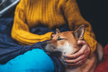 sleeping tourist girl hug resting dog together in campsite, crop red shiba inu leisure in camp tent , hiker woman with puppy dog relax nature vacation, friendship love concept