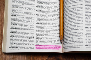 Fototapeta premium description of the epidemic disease in the english dictionary.