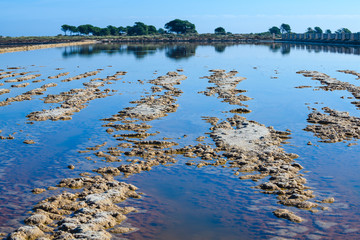 The magnificent Salinas de Santa Pola Natural Park. Province of Alicante. Spain