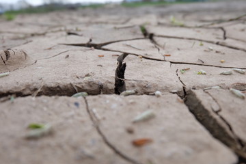 Close up view of cracks in dry land. Drought season illustration. Agricultural concept. Environmental problems concept.