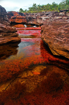 Scenic View Of Cano Cristales River By Rock Formation