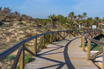Fototapeta na wymiar Stunning natural park near Guardamar del Segura. Province of Alicante. Spain