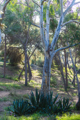 Stunning natural park near Guardamar del Segura. Province of Alicante. Spain