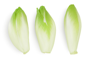 Chicory salad isolated on white background with clipping path and full depth of field. Top view....