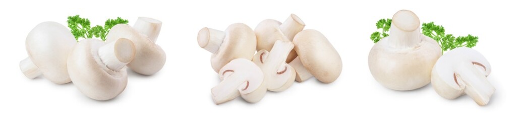 Fototapeta na wymiar Fresh mushrooms champignon isolated on white background with clipping path and full depth of field. Set or collection