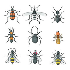Set of insects  in a drawing style vector