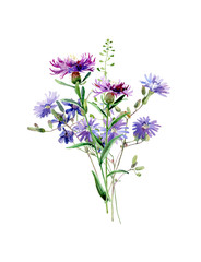 Bouquet of thistle watercolor flowers and blue flowers