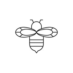 Honey bee icon design isolated on white background